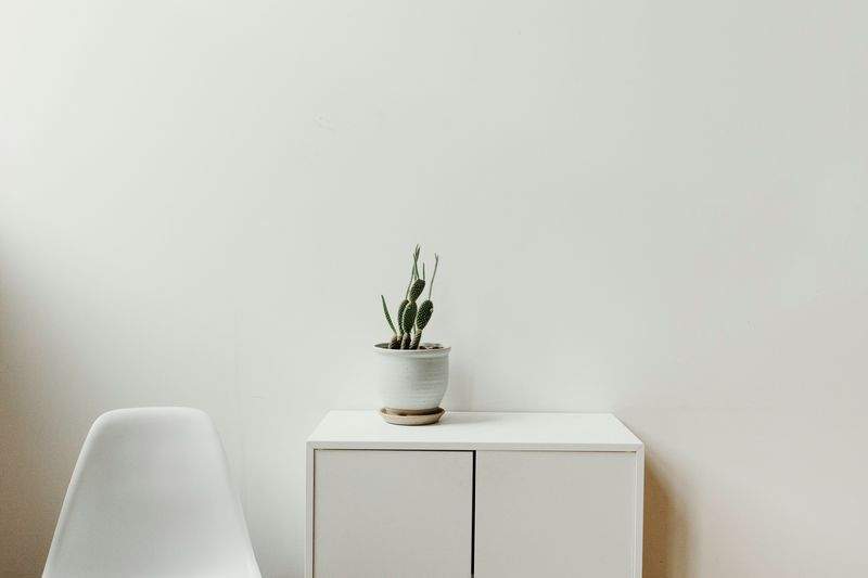 Maison Verte & Jardin 6